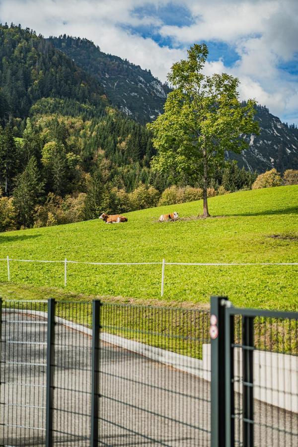 Dachstein West T3